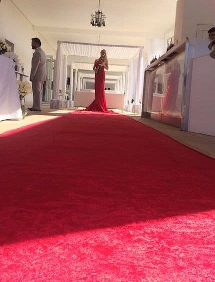 Red Carpet Dress Musician - Specialty Performers in Johannesburg, Gauteng