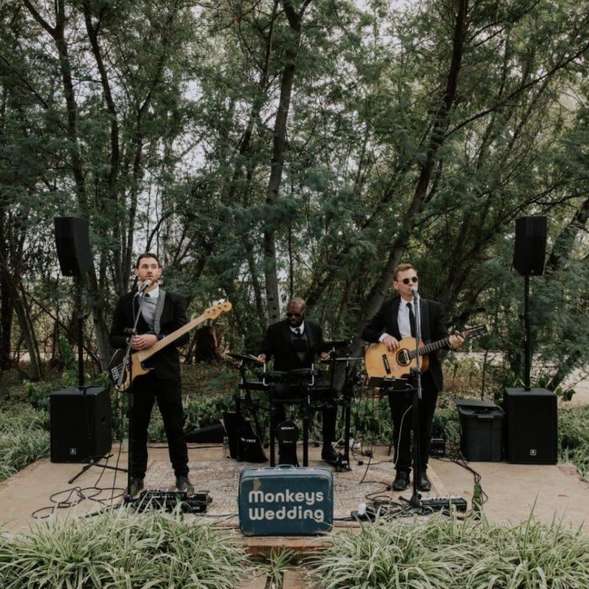 Monkeys Wedding - Musicians & Bands in Pretoria, Gauteng
