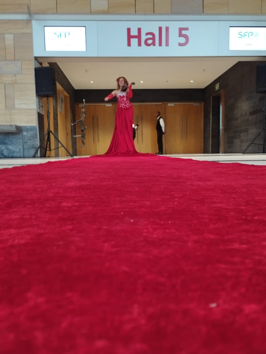 Red Carpet Violinist - Musicians & Bands in Gauteng